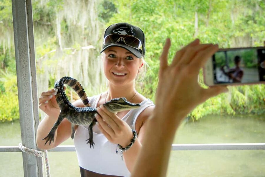 New Orleans: Swamp Boat Ride & Oak Alley Plantation Tour - Oak Alley’s quarter-mile avenue of oaks