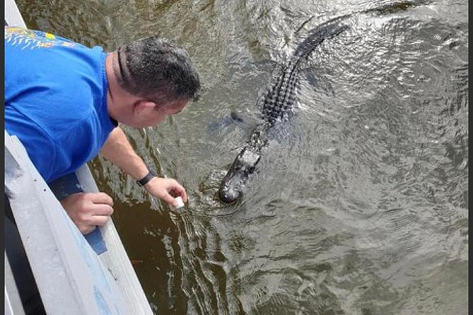 New Orleans Swamp Tour Boat Adventure - What Captain Ernie and the other guides add