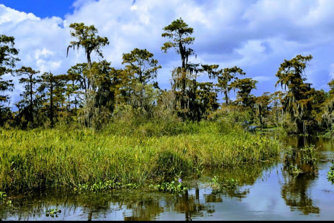 New Orleans Swamp Tour Boat Adventure with Transportation - Who will enjoy this half-day outing