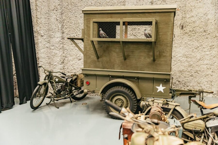 New Orleans: The National WWII Museum Ticket - Getting There and Handling the Practical Details