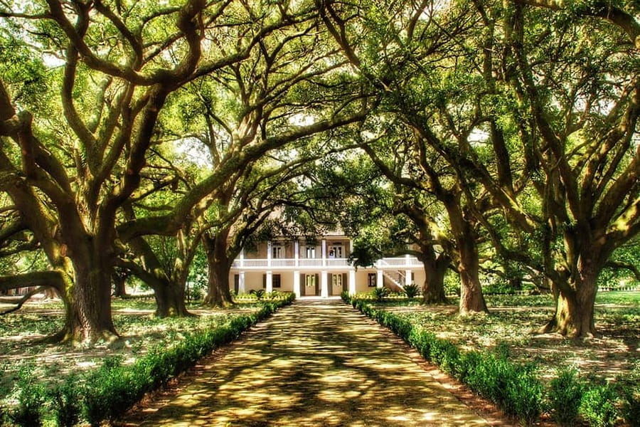 New Orleans: Whitney Plantation Tour with Transportation - Memorials That Keep the Focus on Enslaved People