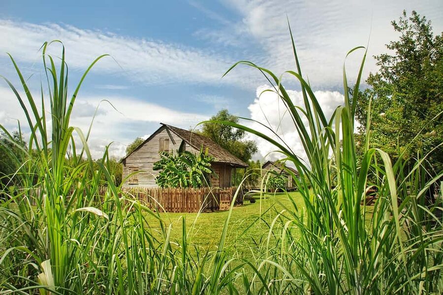 New Orleans: Whitney Plantation Tour with Transportation - Adding the Manchac Swamp Tour