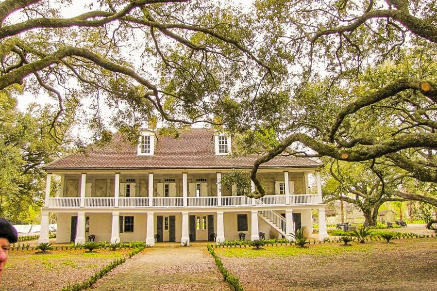 New Orleans: Whitney Plantation Tour with Transportation - Accessibility, Food, and Practical Comfort