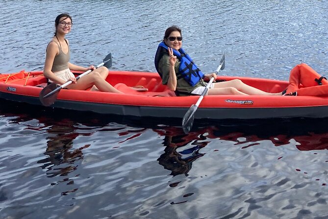 New Smyrna Dolphin and Manatee Kayak and SUP Adventure Tour - How much value do you get for $65?