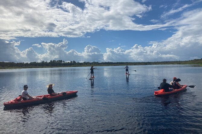 New Smyrna Dolphin and Manatee Kayak and SUP Adventure Tour - Mangroves, islands, and the feel of the water