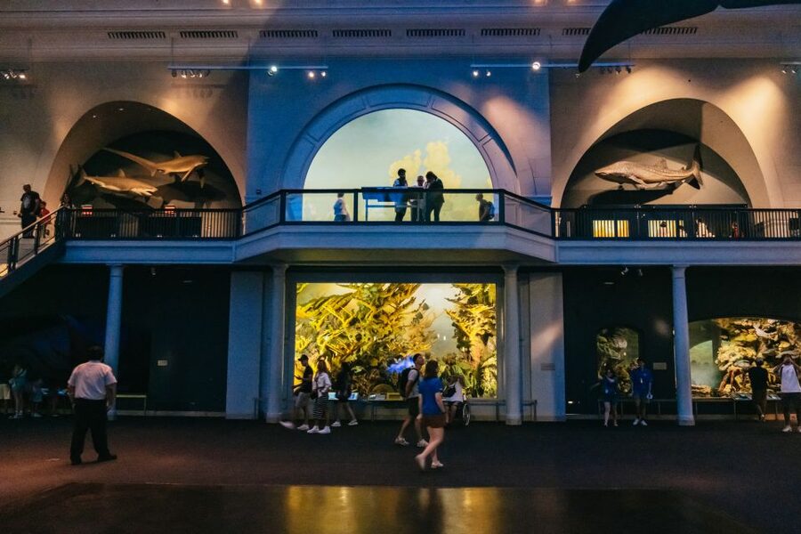 New York City: American Museum of Natural History Ticket - Families get plenty, but the day can be tiring