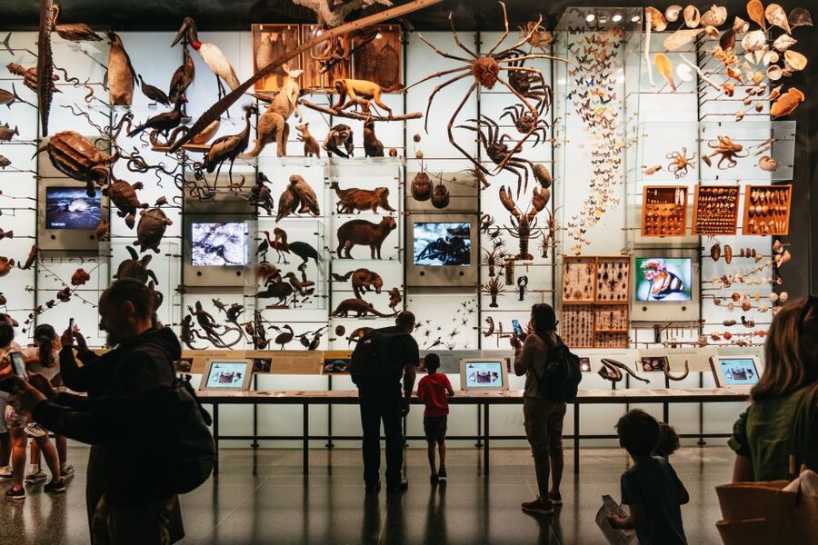 New York City: American Museum of Natural History Ticket - The dinosaur extinction story adds a ticketed choice