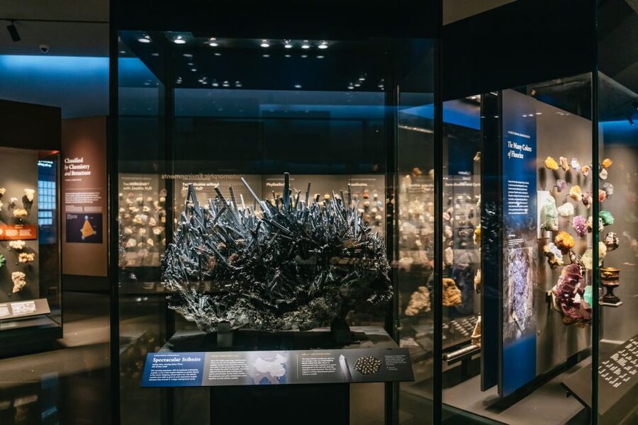 New York City: American Museum of Natural History Ticket - The Gilder Center is more than another exhibition wing