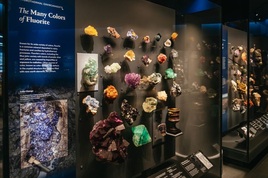 New York City: American Museum of Natural History Ticket - Ocean life, biodiversity, and cultures give the museum its range