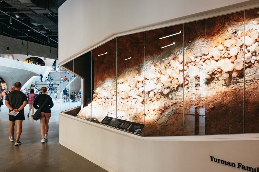 New York City: American Museum of Natural History Ticket - The Rose Center brings the universe indoors