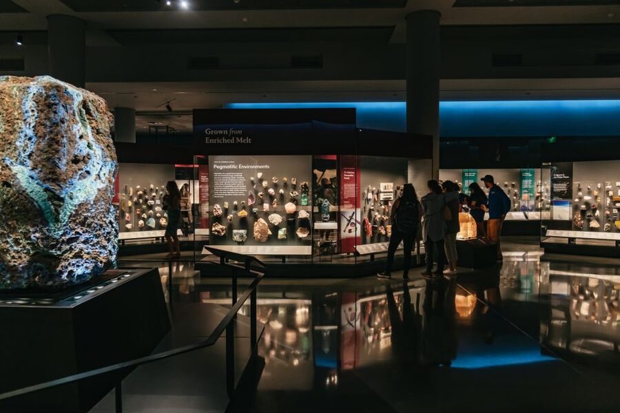 New York City: American Museum of Natural History Ticket - Ticketed exhibitions can turn a good visit into a full day