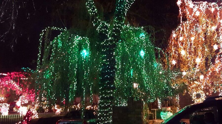 New York City: Dyker Heights Christmas Lights Tour - Key points to know before booking
