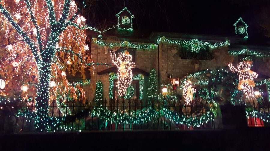 New York City: Dyker Heights Christmas Lights Tour - Who should book the Dyker Heights tour