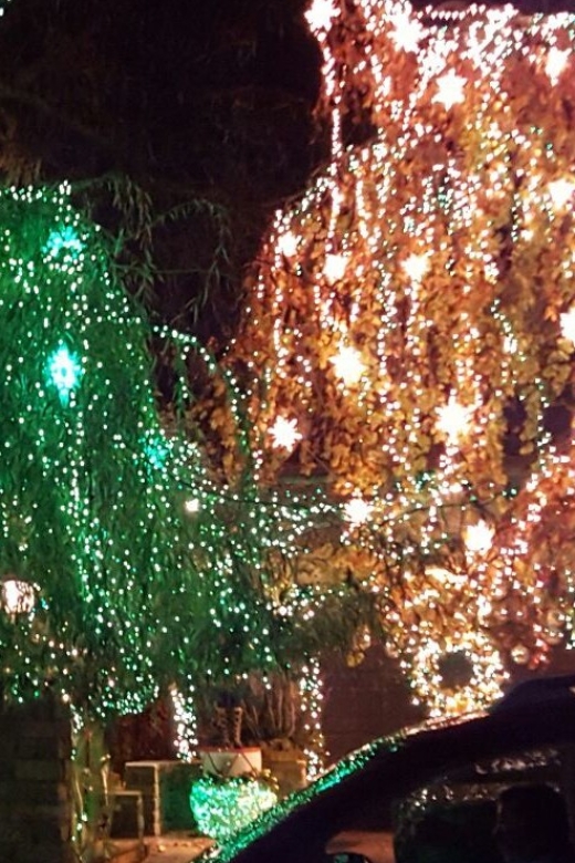 New York City: Dyker Heights Christmas Lights Tour - What the guides add to the evening