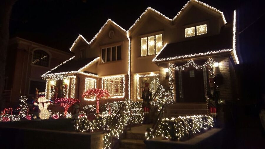 New York City: Dyker Heights Christmas Lights Tour - Practical details that affect your choice