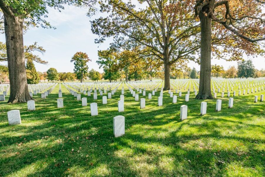 New York City: Full-Day Washington DC City Highlights Tour - Capitol Hill, the Senate, and the White House