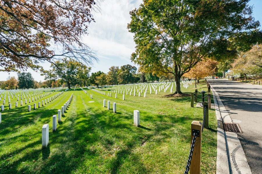 New York City: Full-Day Washington DC City Highlights Tour - The National Mall and the Washington Monument