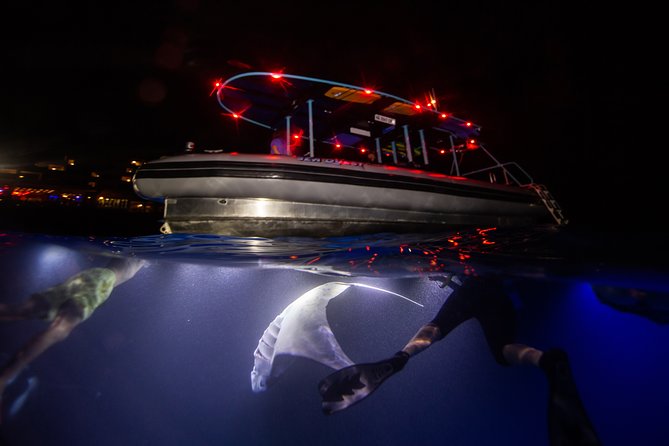 Night Manta Ray Experience - Meeting Sea Quest Hawaii at the Kona harbor