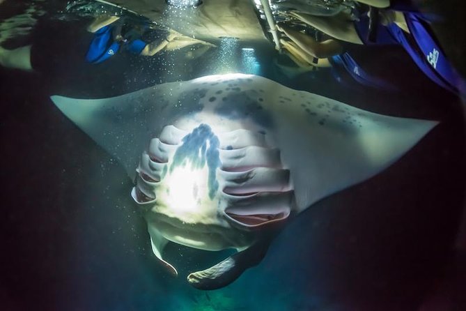 Night Manta Ray Experience - The short boat ride and water briefing