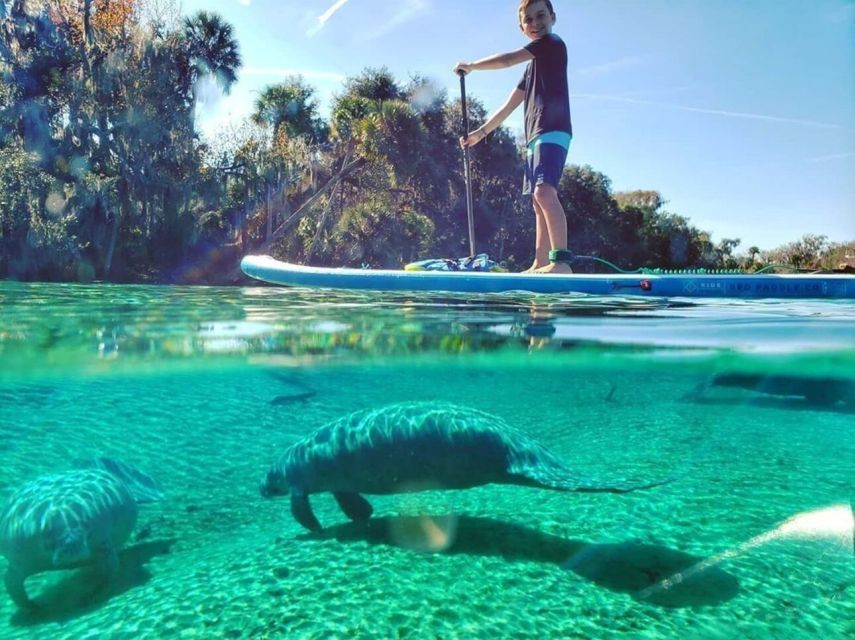 North Miami: Nature & Island Exploration on SUP/Kayak - Through the Osprey Triangle’s mangrove channels