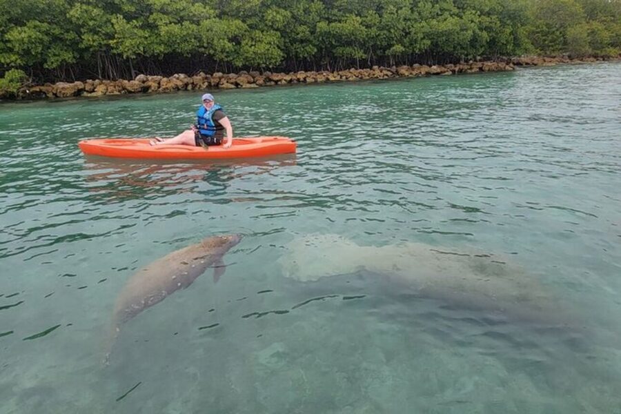 North Miami: Nature & Island Exploration on SUP/Kayak - Island stops, swimming, and the snack break