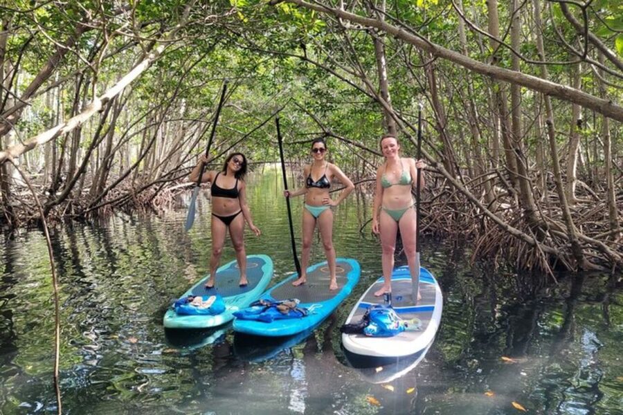 North Miami: Nature & Island Exploration on SUP/Kayak - Snorkeling and the return across the bay