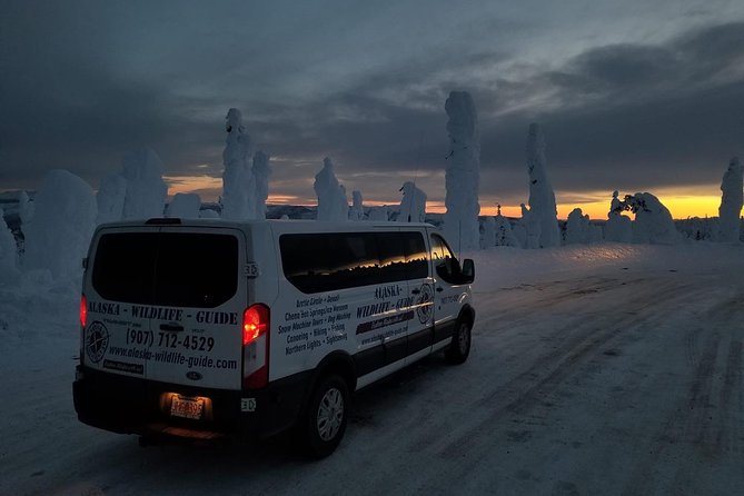 Northern Lights & Arctic Circle Tour - Crossing the Yukon River at E. L. Patton Bridge