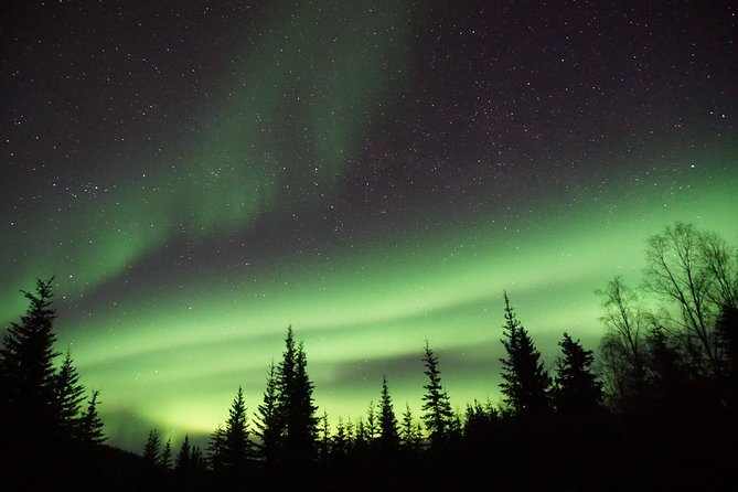 Northern Lights & Arctic Circle Tour - Reaching the Arctic Circle sign