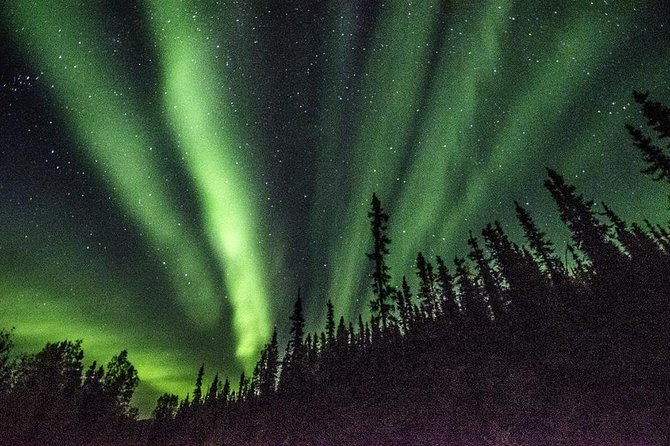 Northern Lights & Arctic Circle Tour - The return trip becomes an aurora search