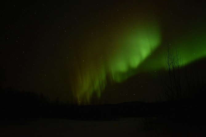 Northern Lights & Arctic Circle Tour - Is the $330 price fair?