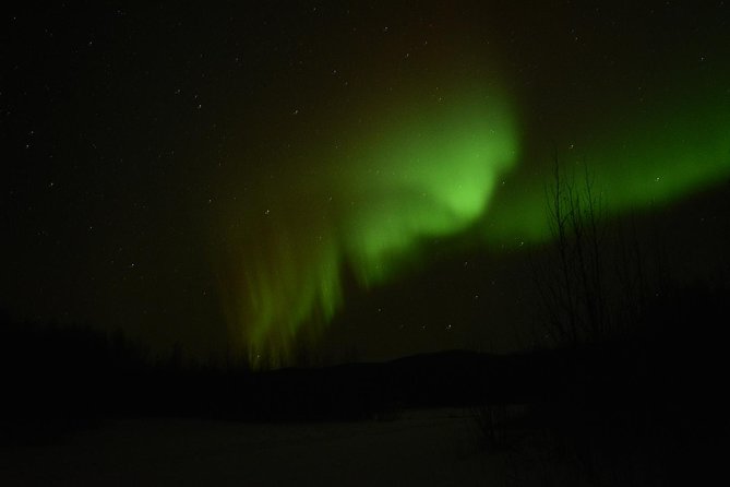 Northern Lights & Arctic Circle Tour - Four brief stops before the Arctic Circle