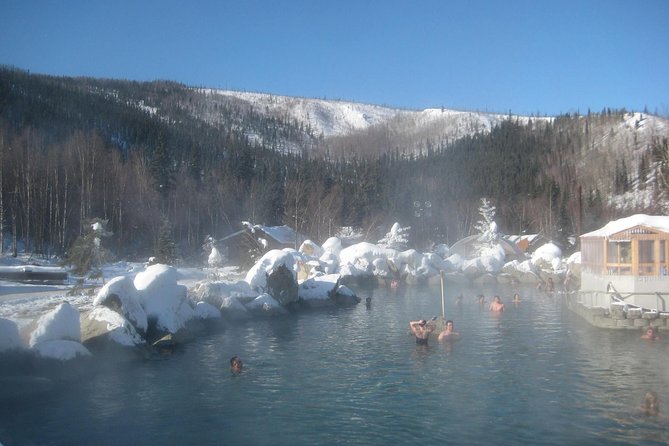 Northern Lights & Chena Hot Springs Tour - Soaking in the 106°F mineral water