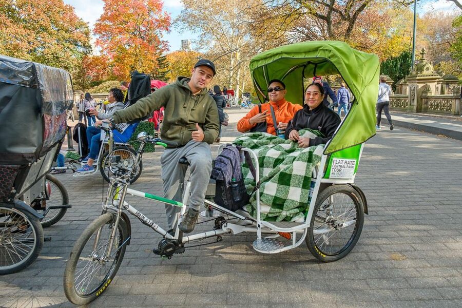 NYC: Central Park Guided Pedicab Tour - The Southern Park: Gapstow Bridge to Bethesda Fountain