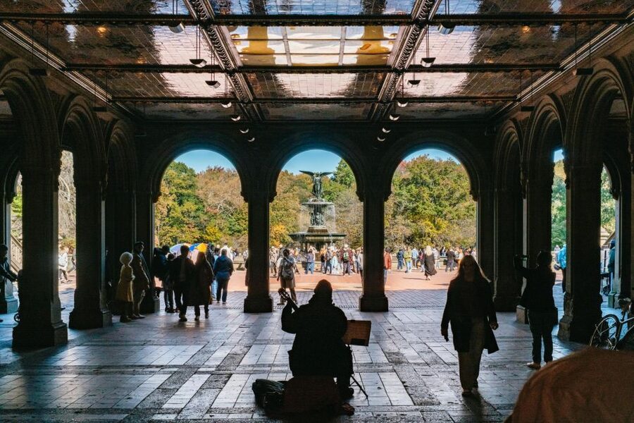 NYC: Central Park Guided Pedicab Tour - Photos, Comfort, and Weather