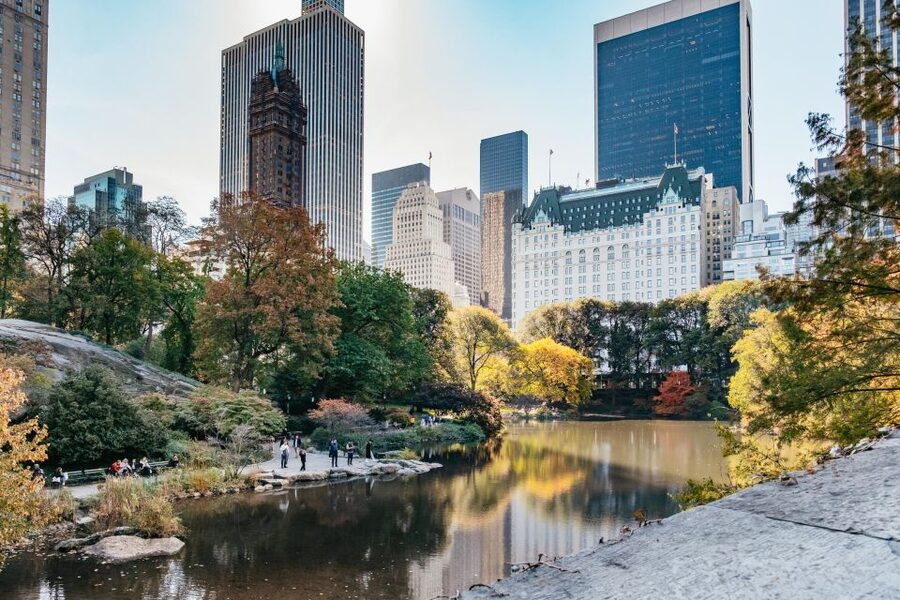 NYC: Central Park Guided Pedicab Tour - Is $39 a Good Value?