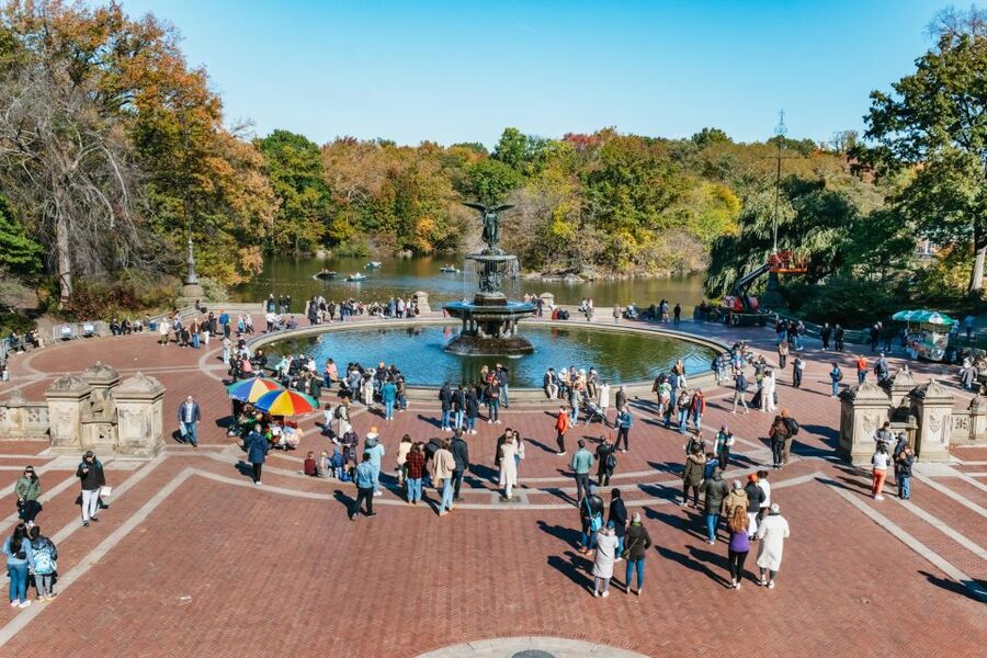 NYC: Central Park Guided Pedicab Tour - Who Should Book This Central Park Tour?