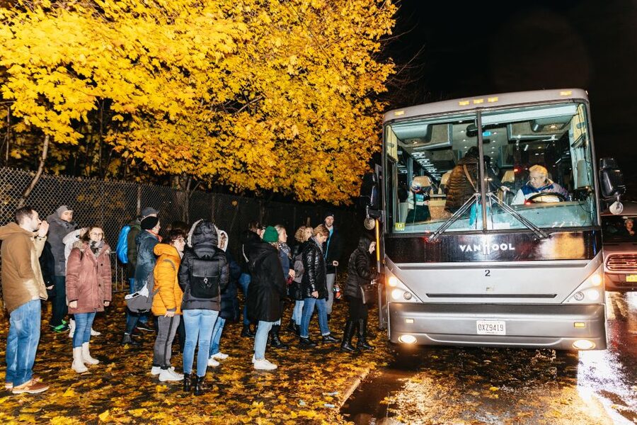 NYC: Dyker Heights Christmas Lights & Skyline View Bus Tour - Who should book this Christmas tour?