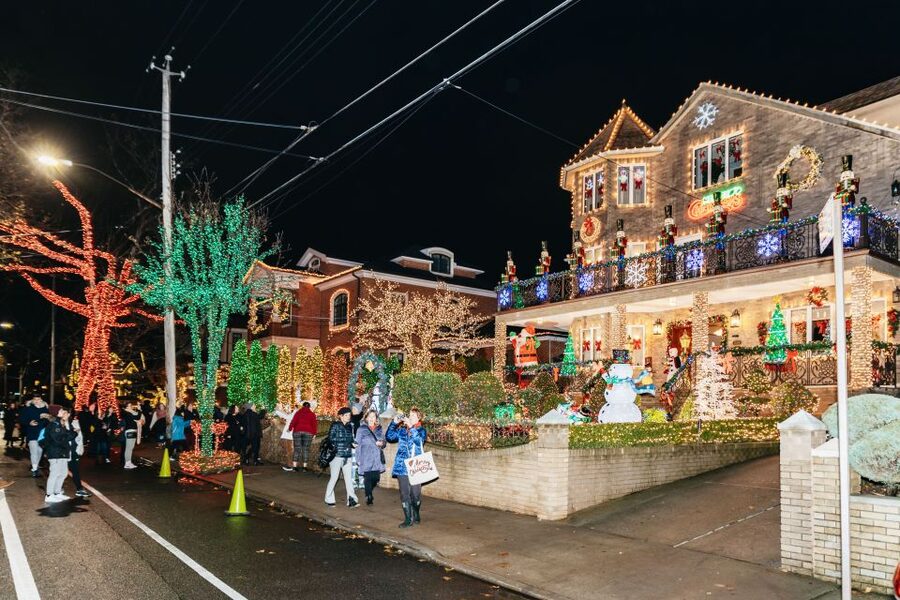 NYC: Dyker Heights Christmas Lights & Skyline View Bus Tour - Brooklyn Bridge Park gives you the classic skyline