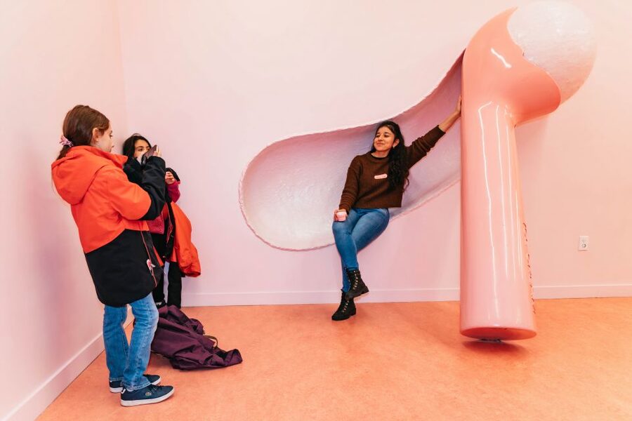 NYC: Museum of Ice Cream Entry Ticket - Who should book the Museum of Ice Cream?