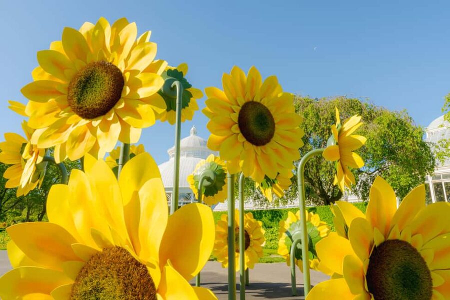 NYC: New York Botanical Garden Pass - Why New York Botanical Garden Deserves a Full Day