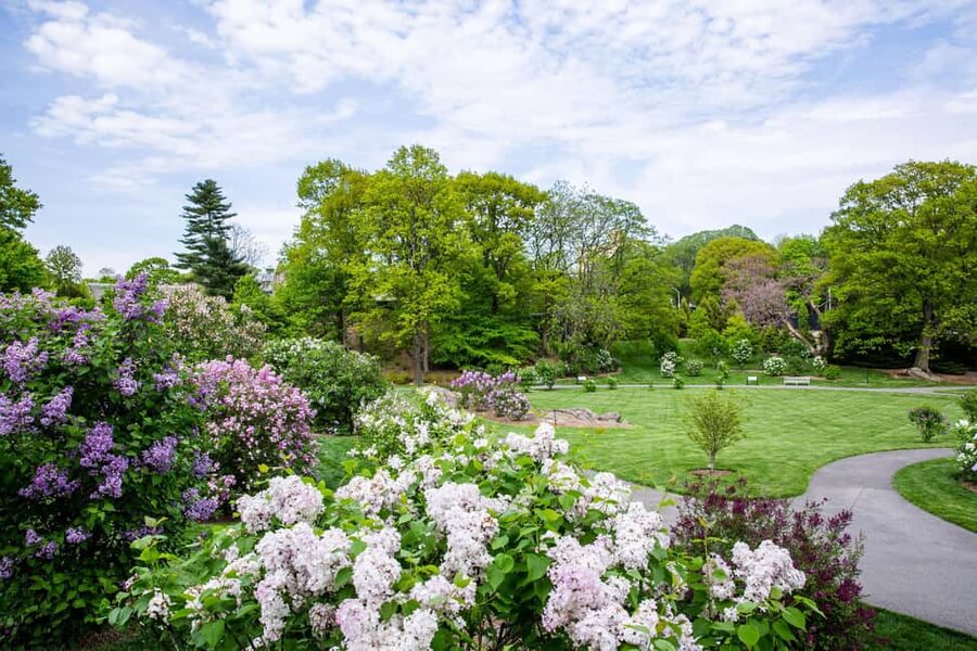 NYC: New York Botanical Garden Pass - The Enid A. Haupt Conservatory