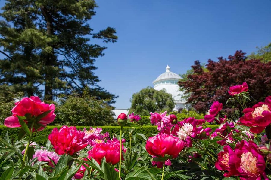 NYC: New York Botanical Garden Pass - The Native Plant Garden, Rock Garden, and Conifers