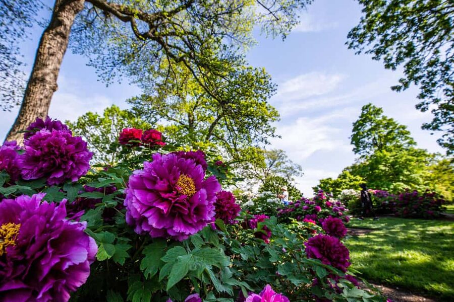 NYC: New York Botanical Garden Pass - Fall Pumpkins and the Holiday Train Show