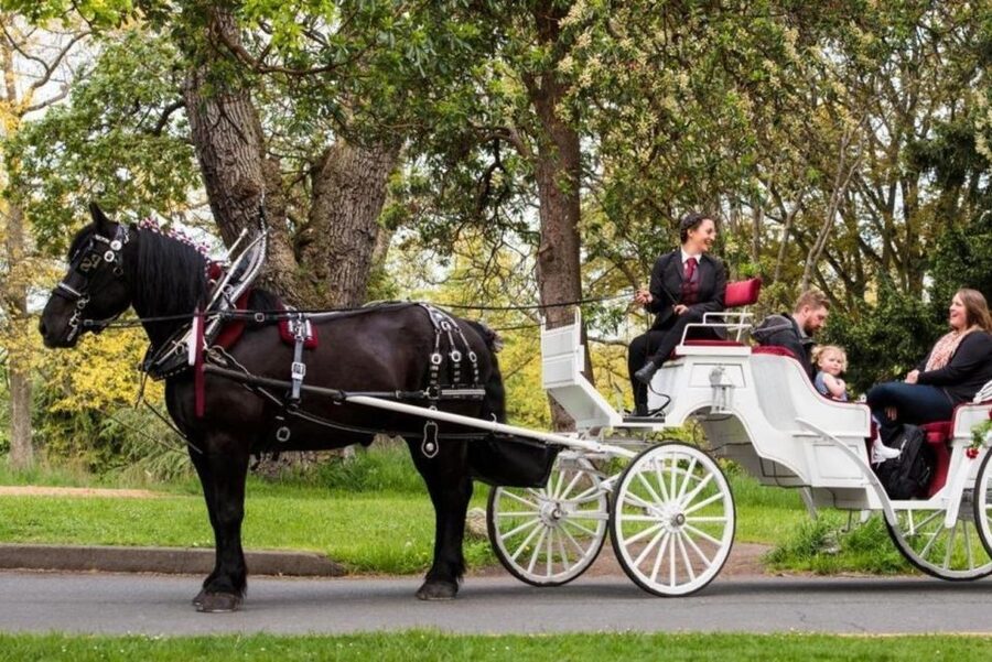 NYC: Private Central Park Horse Carriage Ride with Guide - The Central Park route and its landmark stops