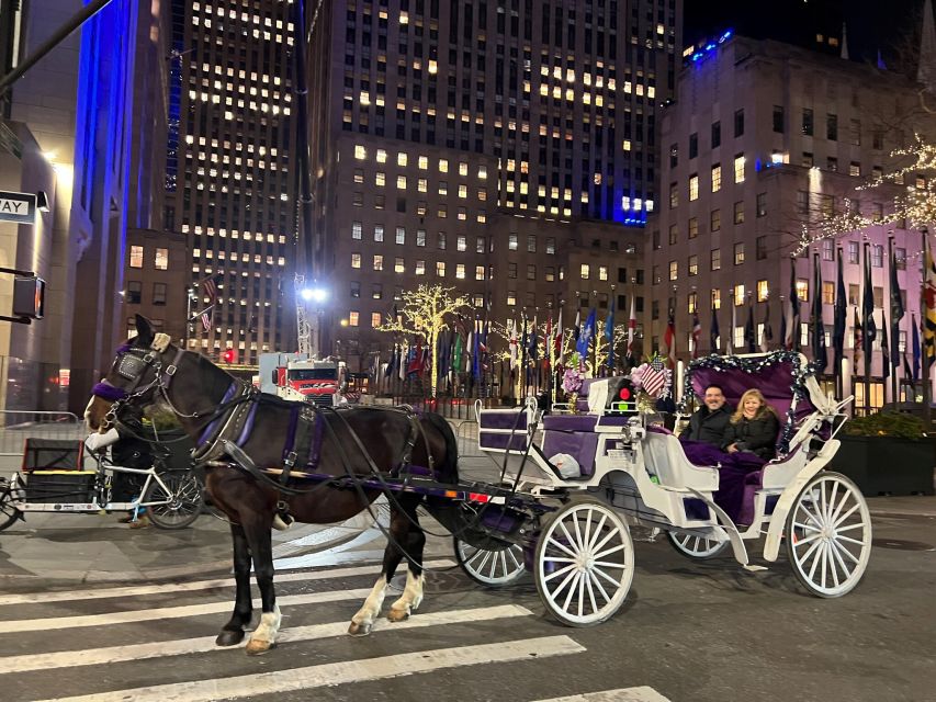 NYC: Private Central Park Horse Carriage Ride with Guide - Choosing the city ride for Fifth Avenue lights