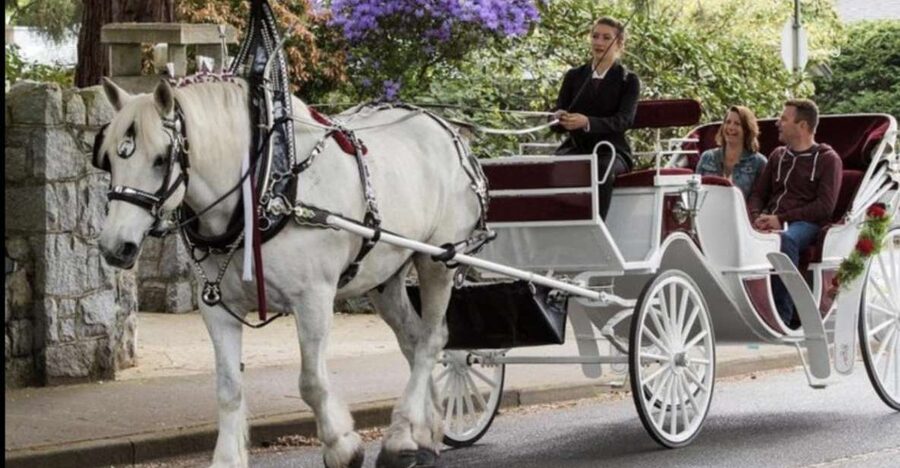 NYC: Private Central Park Horse Carriage Ride with Guide - How much value do you get for the price?