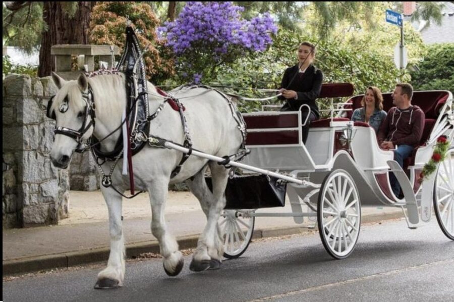 NYC: Private Central Park Horse Carriage Ride with Guide - Meeting at Central Park South and Seventh Avenue