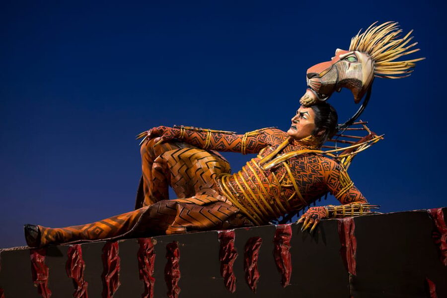 NYC: The Lion King on Broadway - Who will get the most from this Broadway show