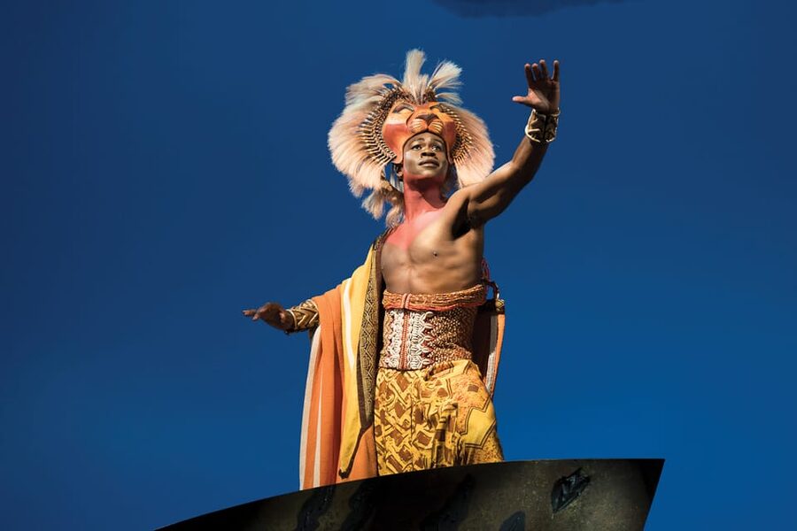 NYC: The Lion King on Broadway - Simple rules that protect the performance