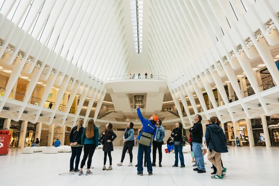 NYC: Wall Street Tour with 9/11 Memorial and Statue Ferry - Who will get the most from this $39 experience